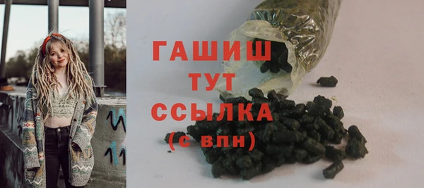 мдпв Богородицк