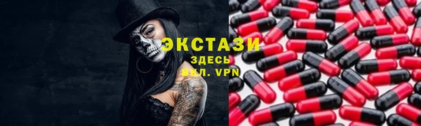 мдпв Богородицк