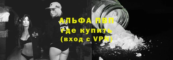 мескалин Богданович