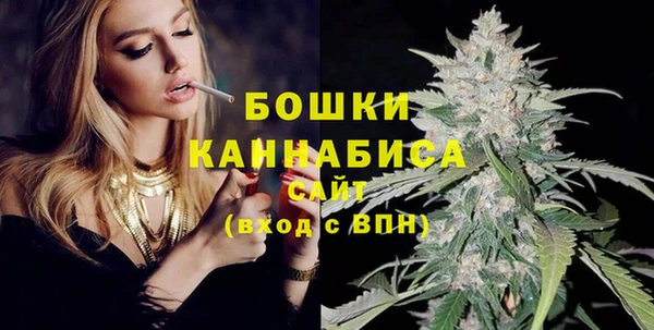 мдпв Богородицк