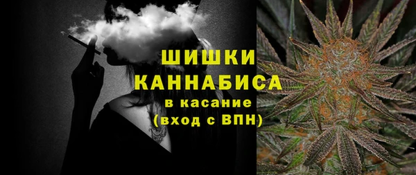 мдпв Богородицк