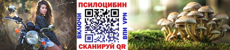 Галлюциногенные грибы Psilocybe  Купить где  Новоульяновск 
