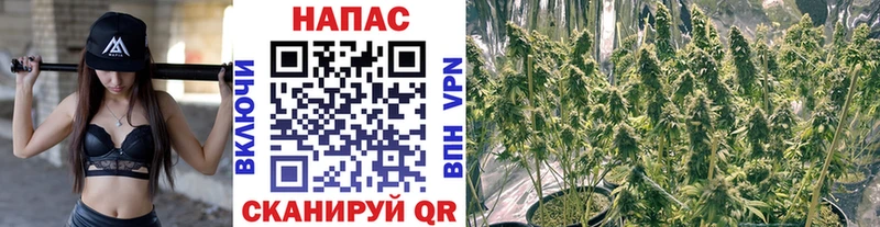 Бошки Шишки тримм  Купить  Новоульяновск 
